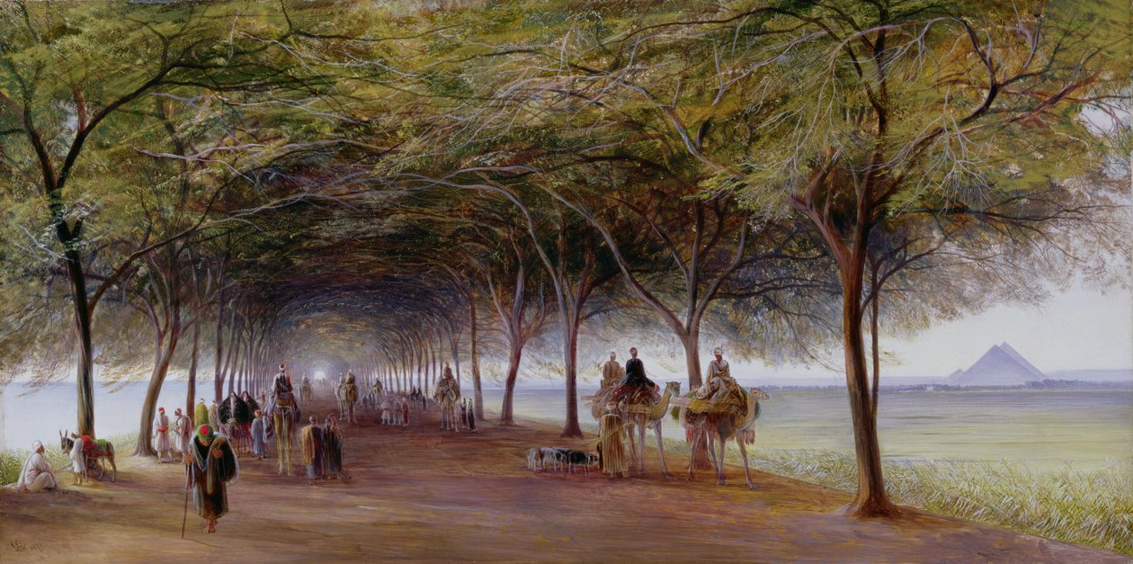 Vue de la Route des Pyramides, Gizeh - Edward Lear