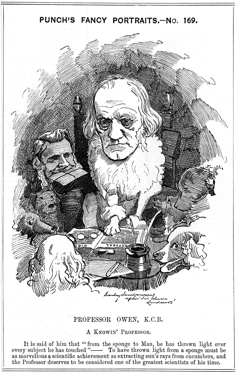 Richard Owen, zoologiste anglais, 1884 - Edward Linley Sambourne