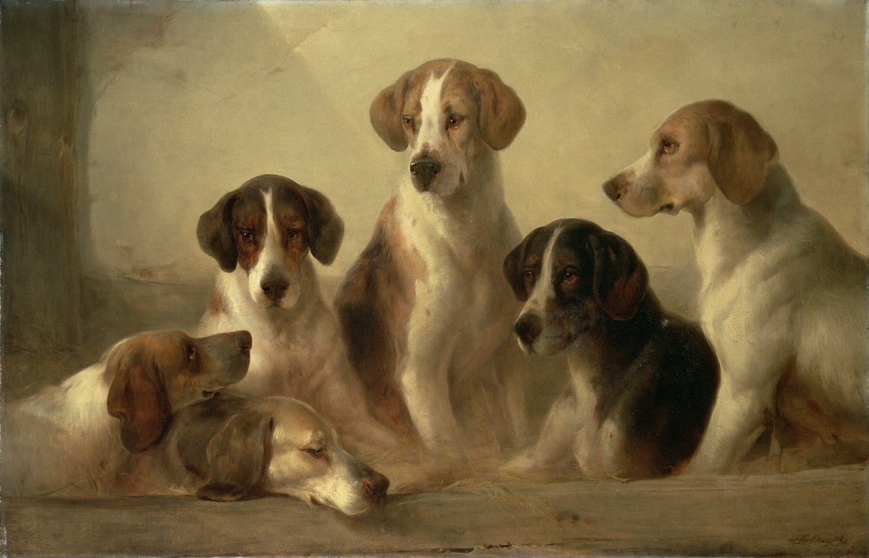 Chiens de chasse - Edward Robert Smythe
