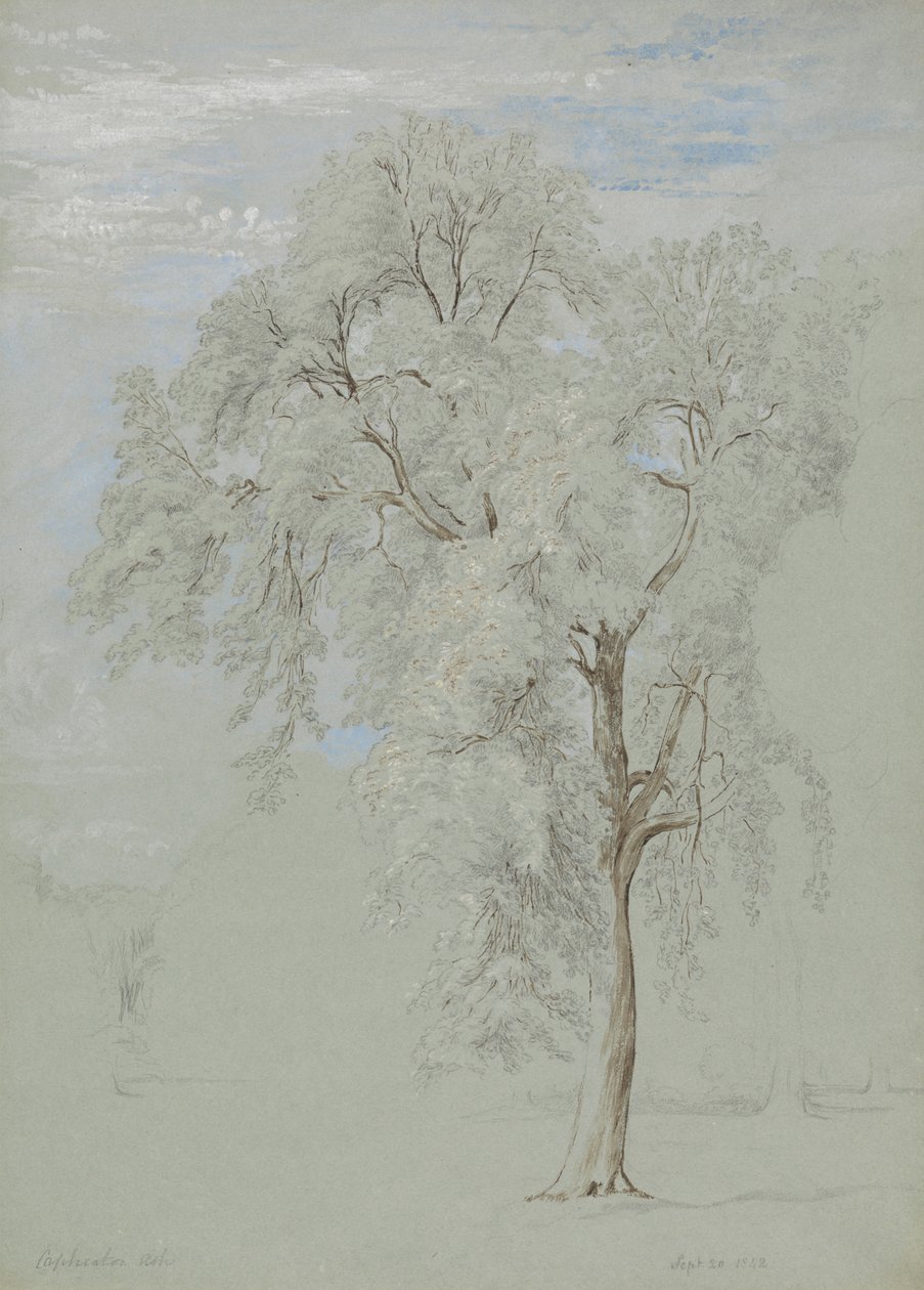 Frêne - Edward Swinburne