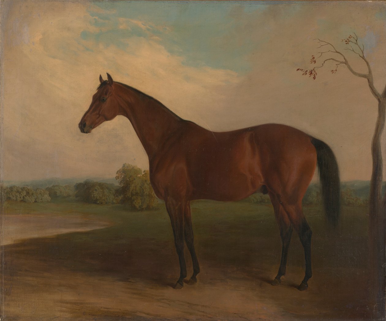 Souverain - Edward Troye