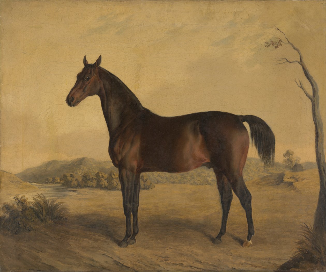 Tranby - Edward Troye