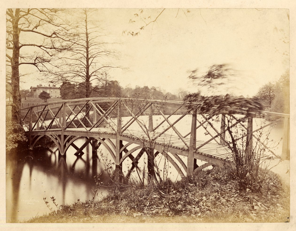 Parc de Roundhay - Edward Wormald