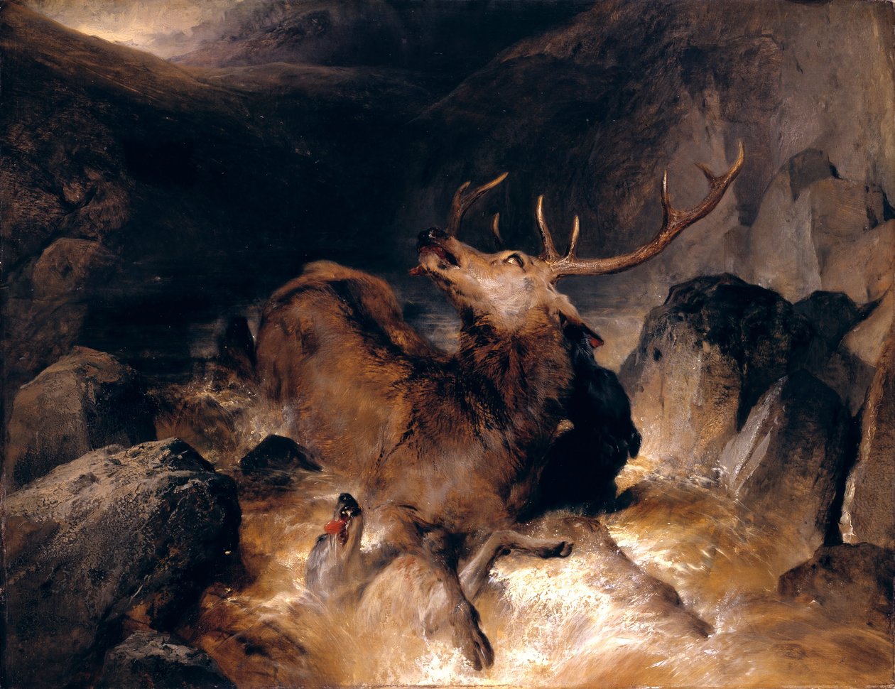 Cerfs et chiens de chasse dans un torrent de montagne - Edwin Landseer