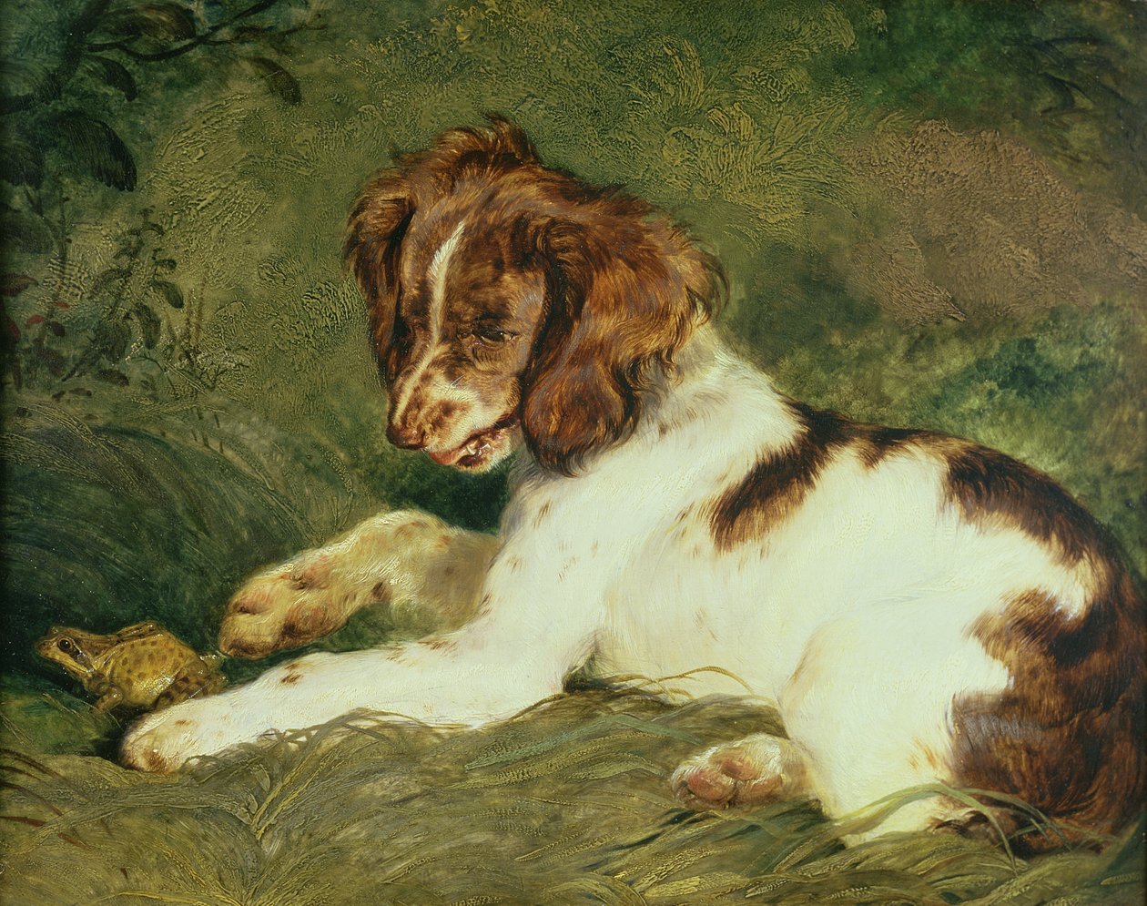 Un chiot taquinant une grenouille, 1824 - Edwin Landseer