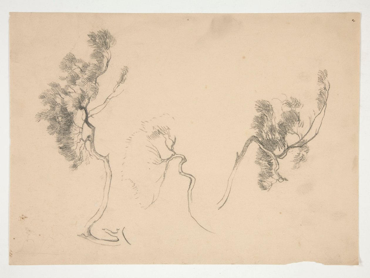 Esquisses de branches - Edwin Austin Abbey