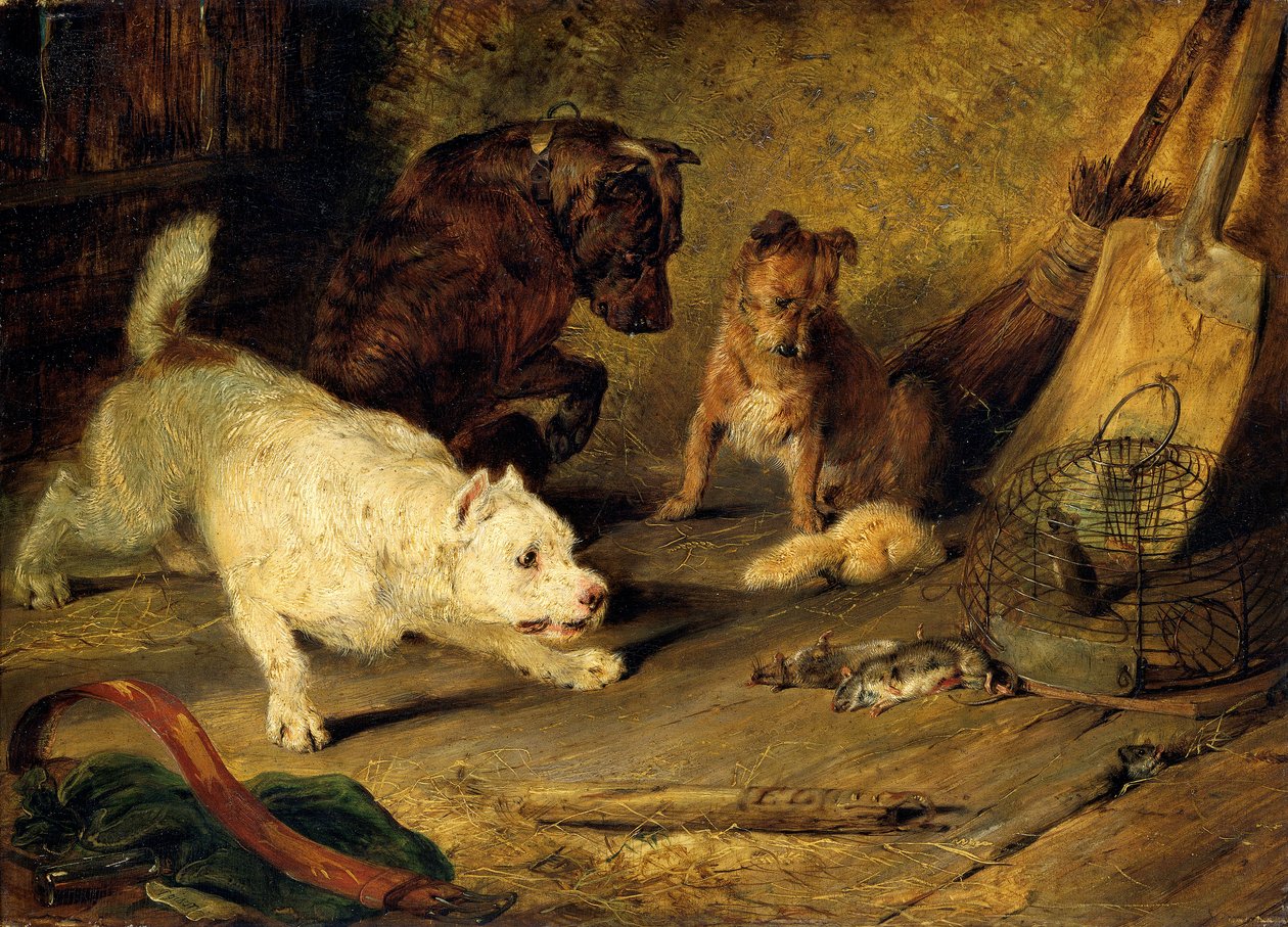 Attrapeurs de rats, 1821 - Edwin Henry Landseer