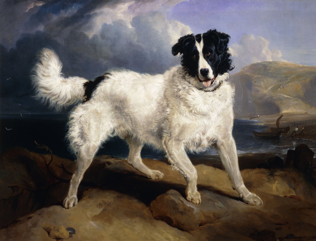 Portrait de Neptune, 1824 - Edwin Landseer