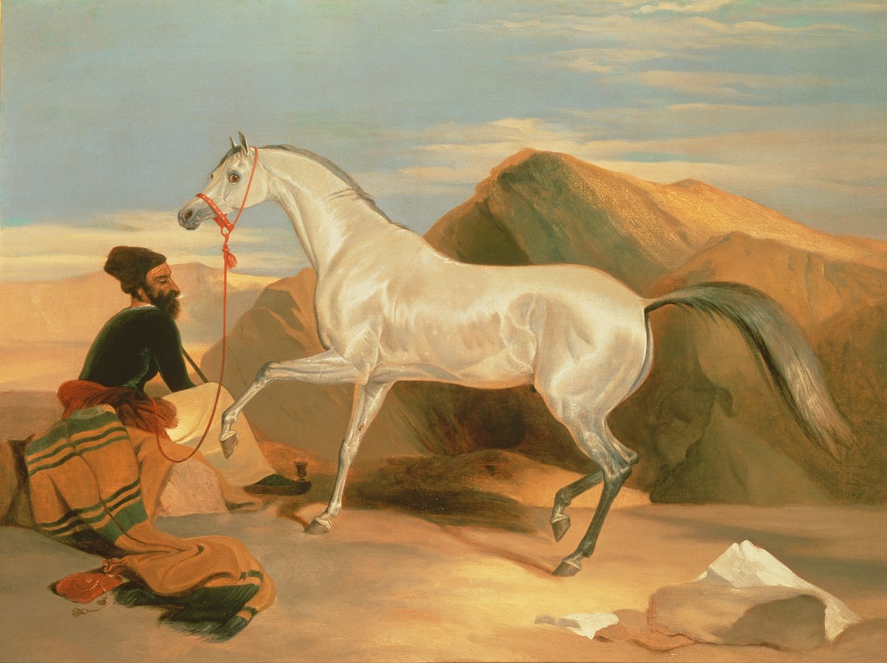 Étalon arabe - Edwin Landseer