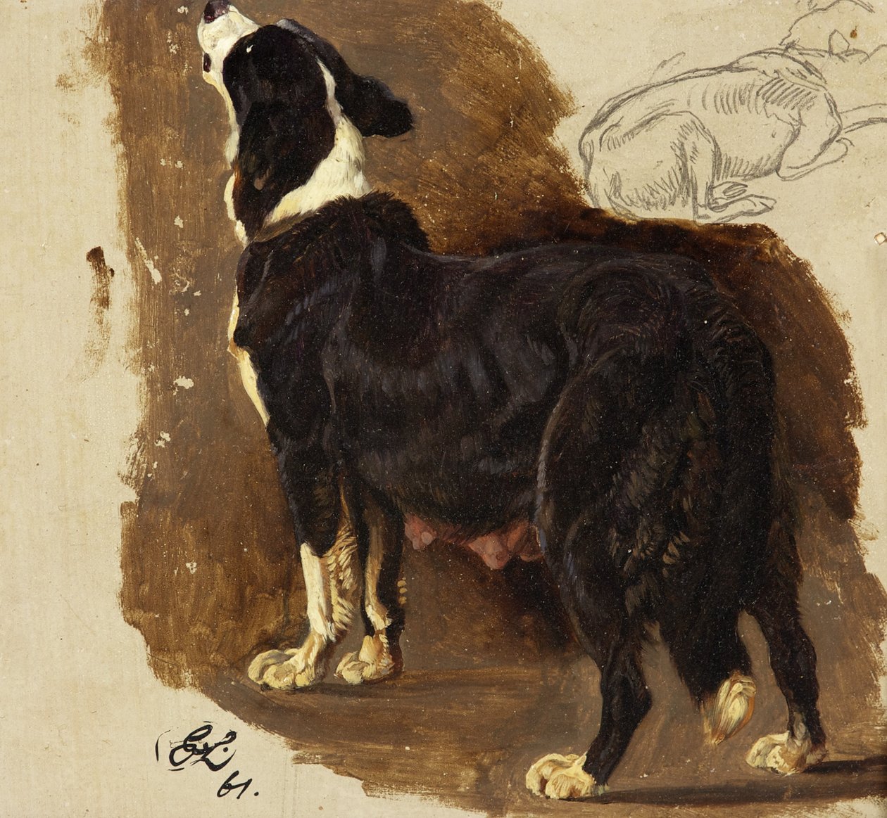 Chienne Collie - Edwin Landseer
