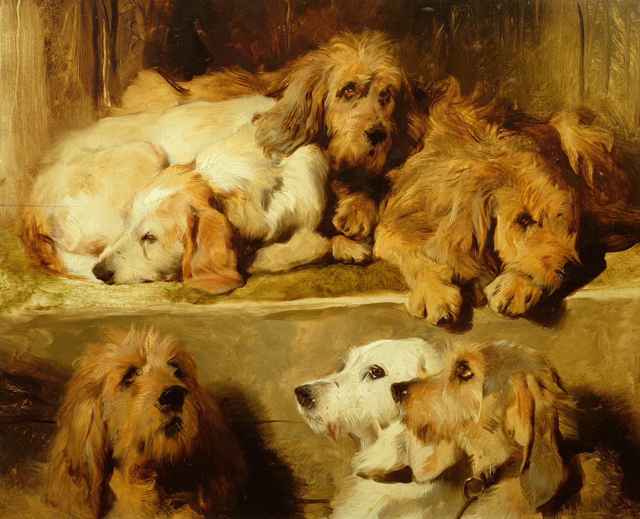 Chiens dans un chenil - Edwin Landseer