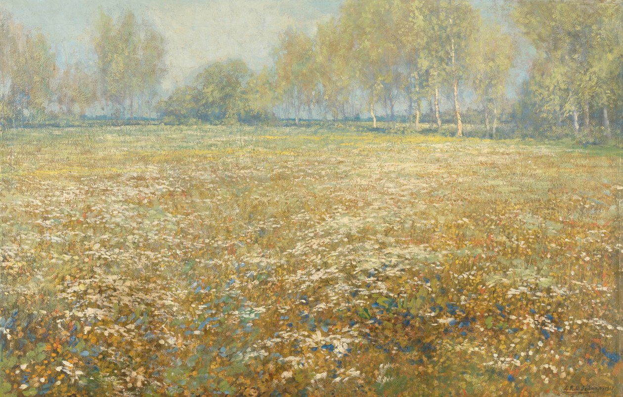 Prairie en fleurs - Egbert Rubertus Derk Schaap
