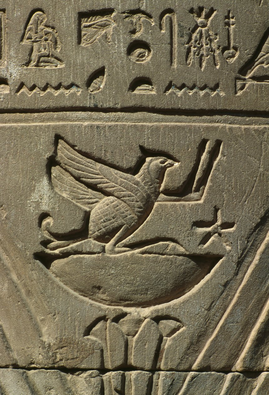 Détail d