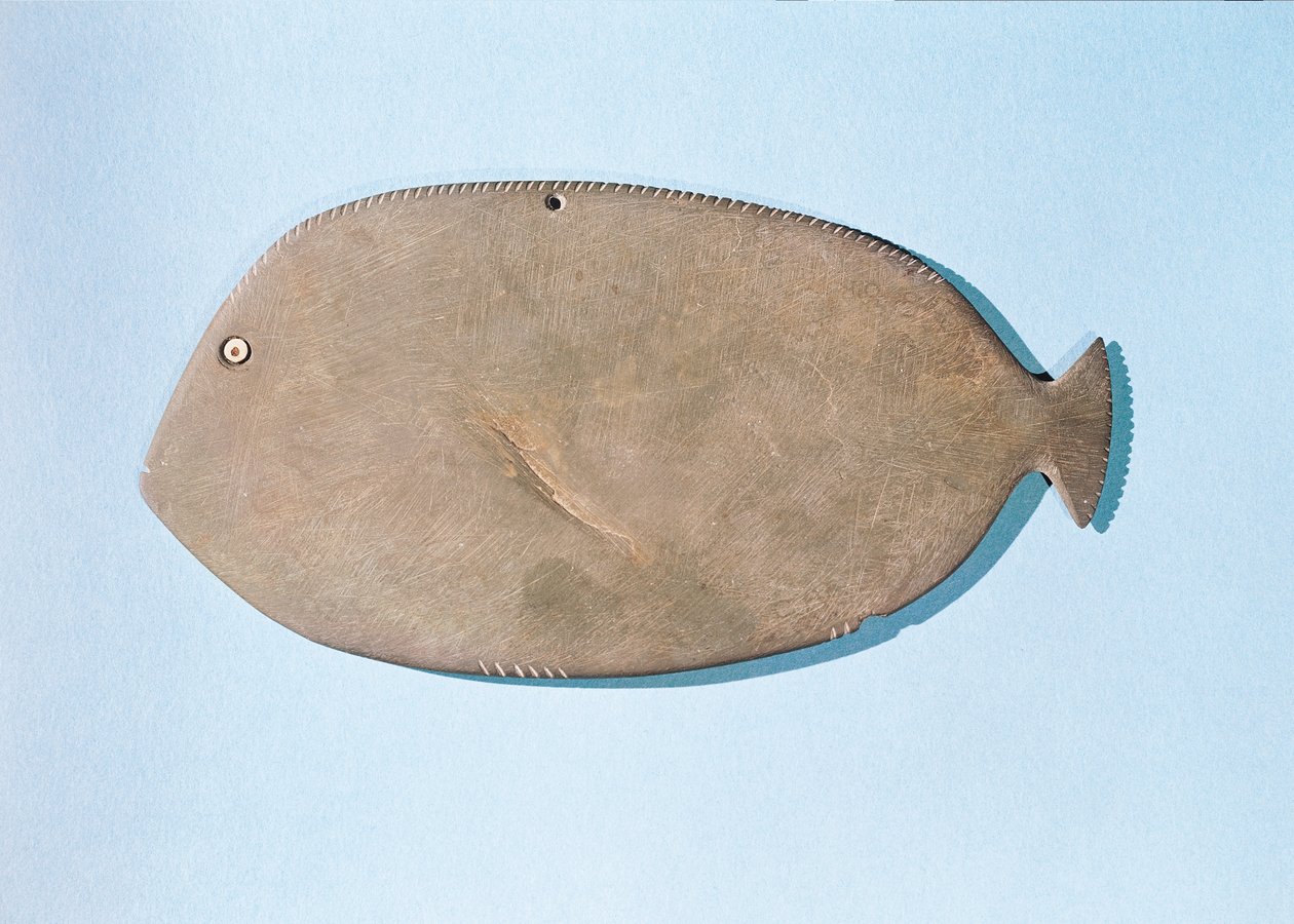 Palette en forme de poisson, période prédynastique (5000-3100 av. J.-C.) - Egyptian