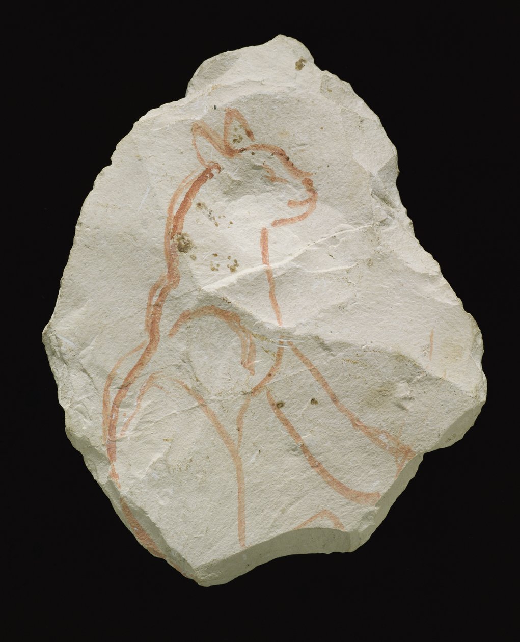 Ostracon représentant un chat assis, Nouvel Empire - Egyptian 19th Dynasty