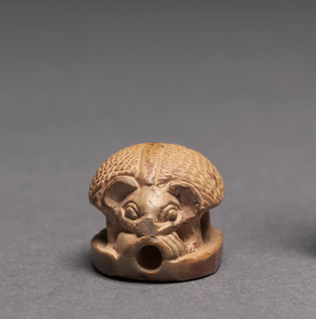 Hérisson, vers 1391-1353 av. J.-C. - Egyptian 18th Dynasty