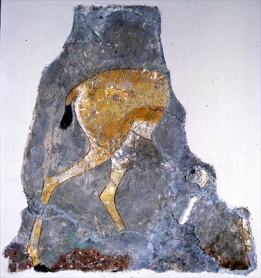 Fragment d