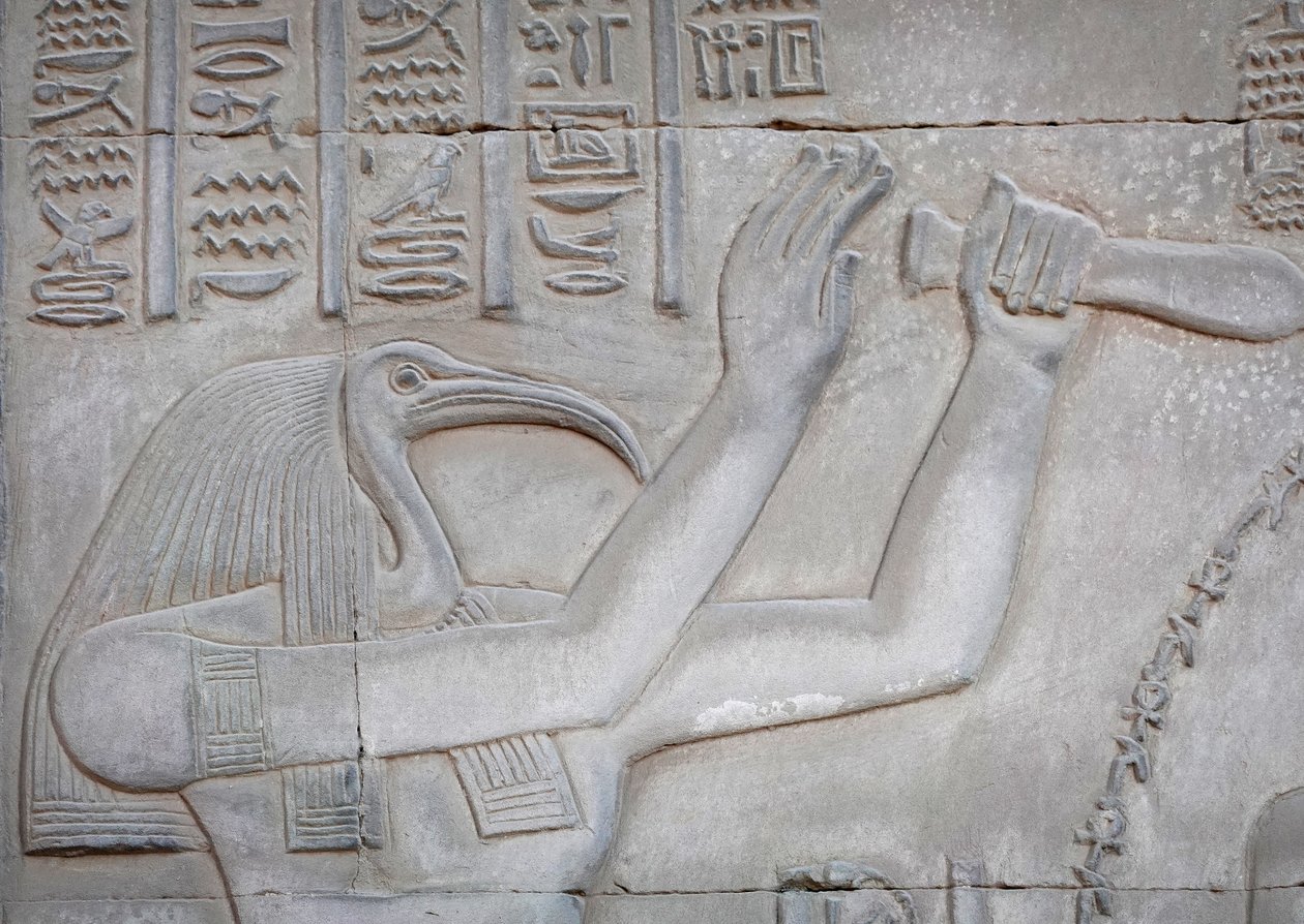 Thot, Temple de Kom Ombo (relief) - Egyptian Egyptian