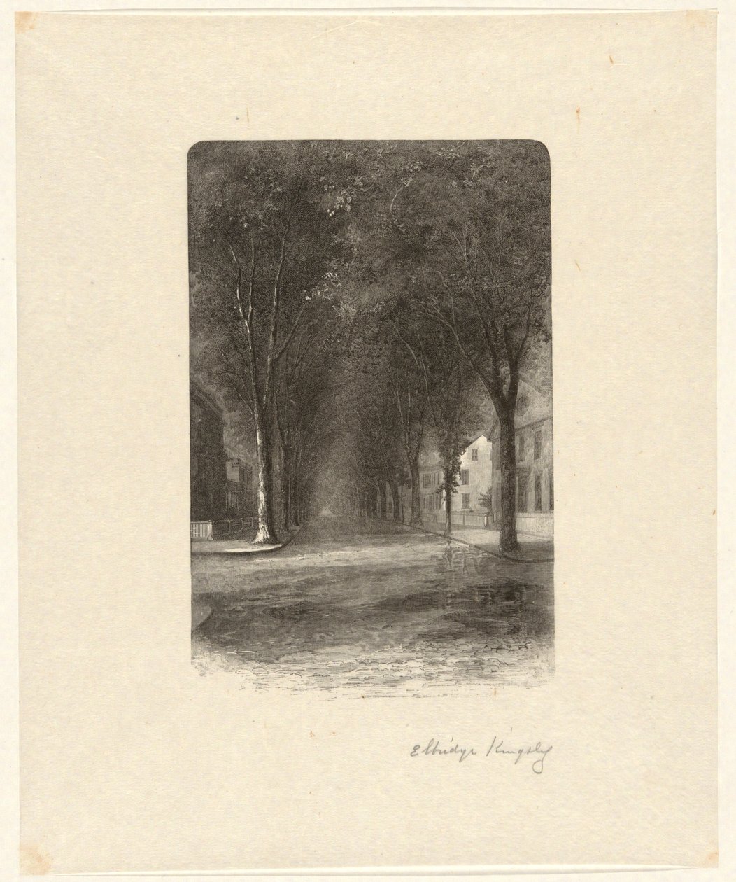 Sans titre [Rue bordée d
