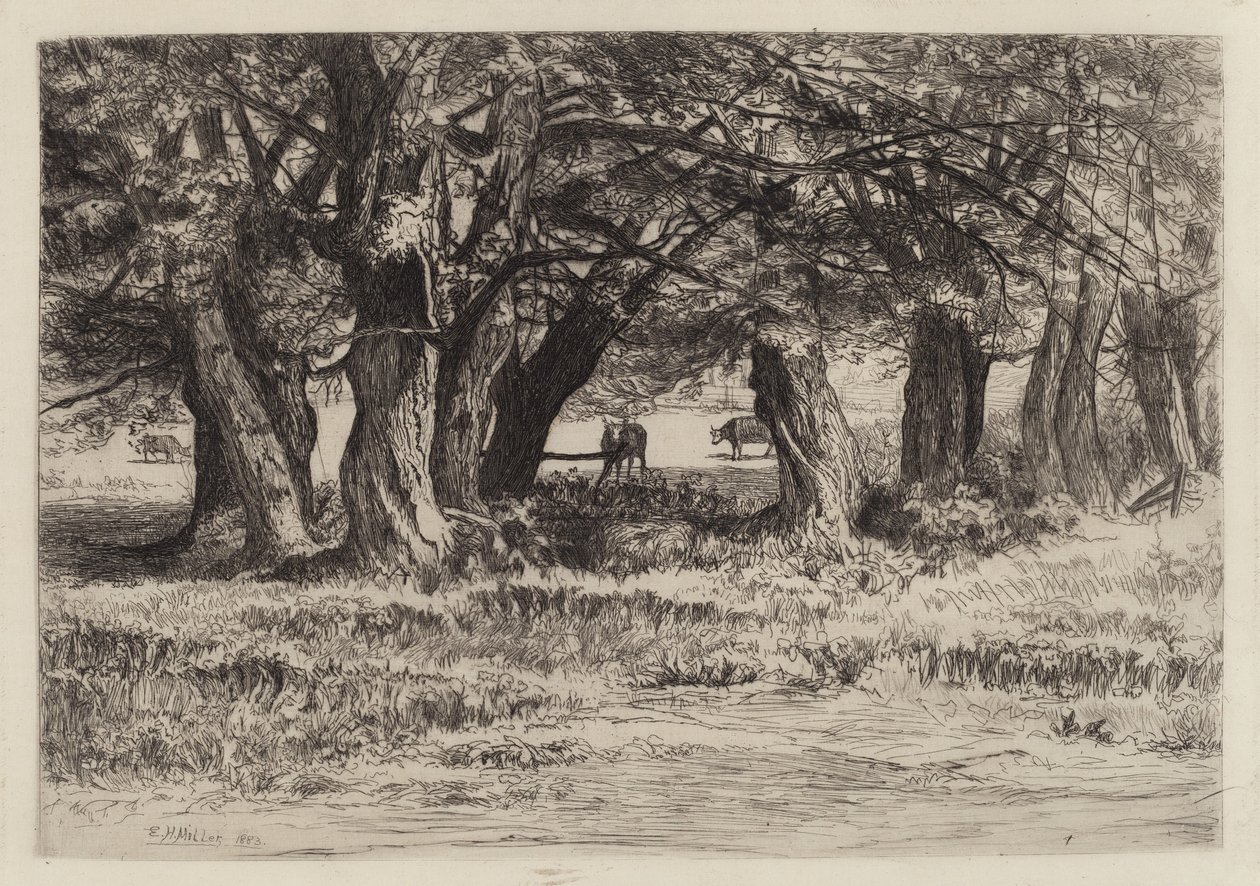 Un groupe de saules - Eleazer Hutchinson Miller