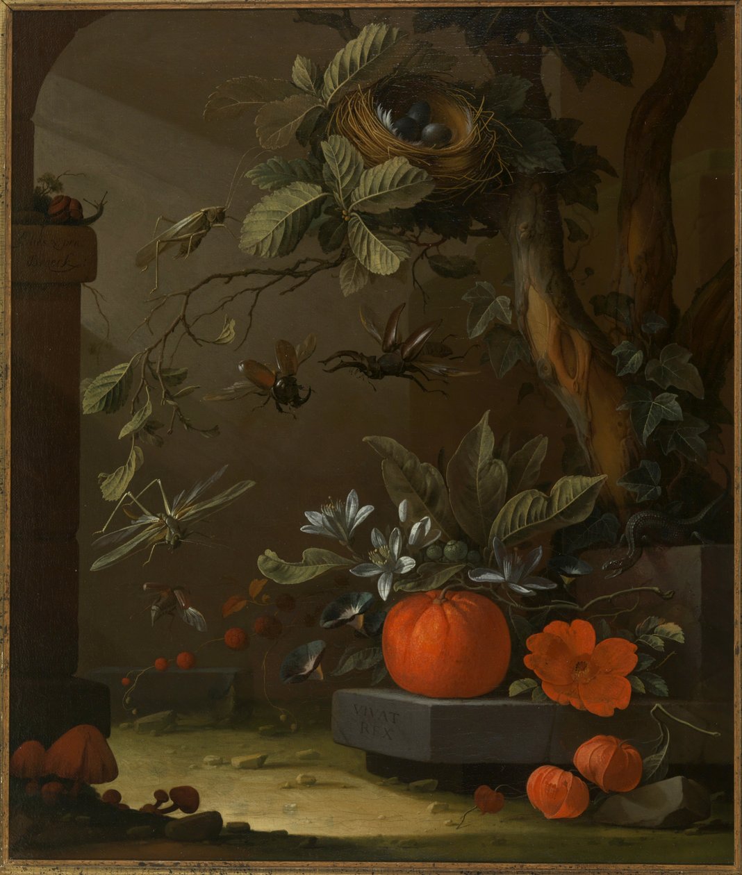 Vivat Rex - Elias van den Broeck