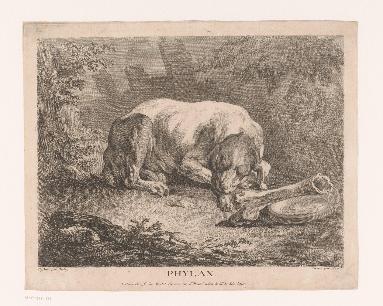 Chien endormi - Élie du Mesnil