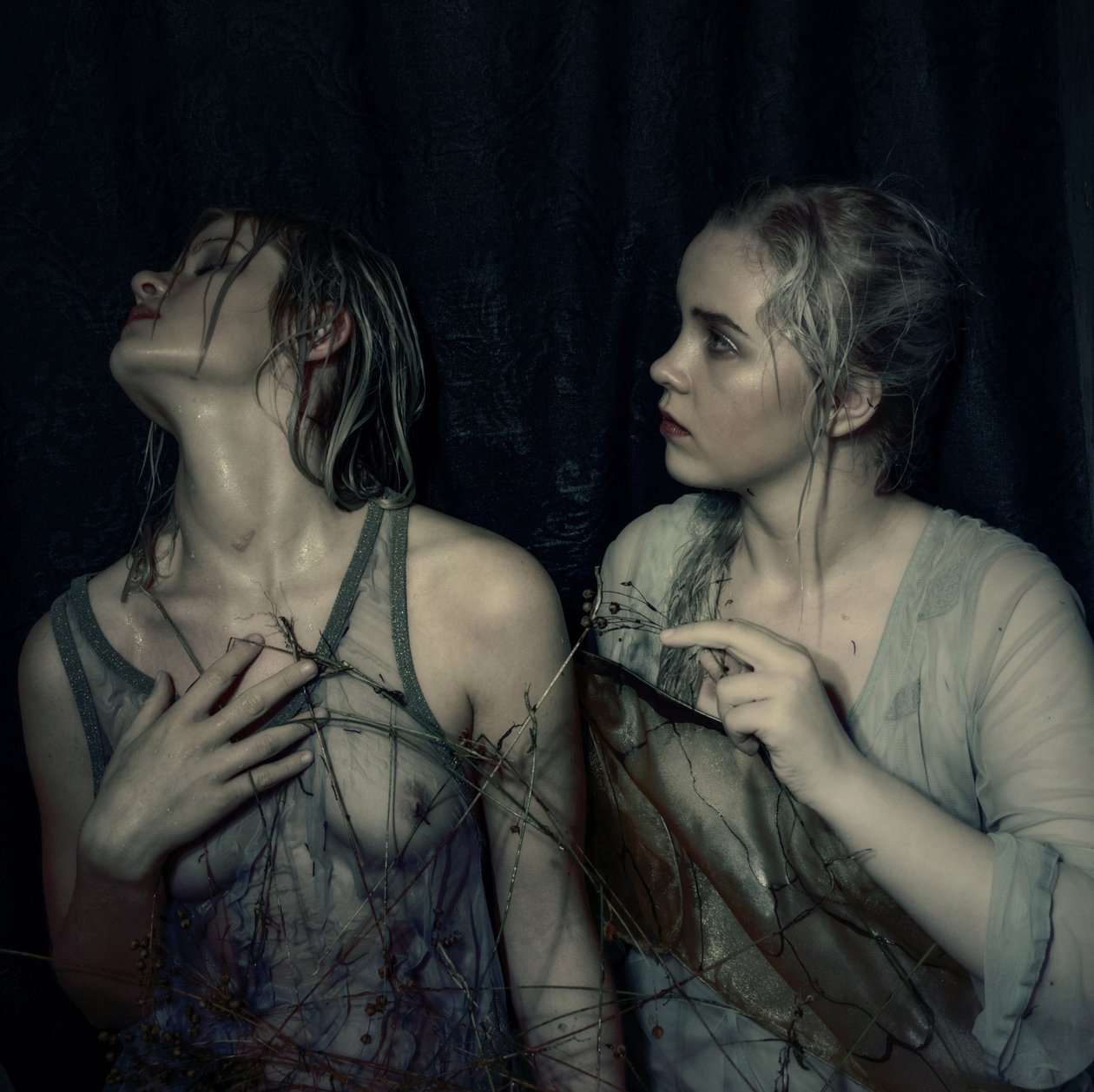 Question, 2015 - Elinleticia Högabo