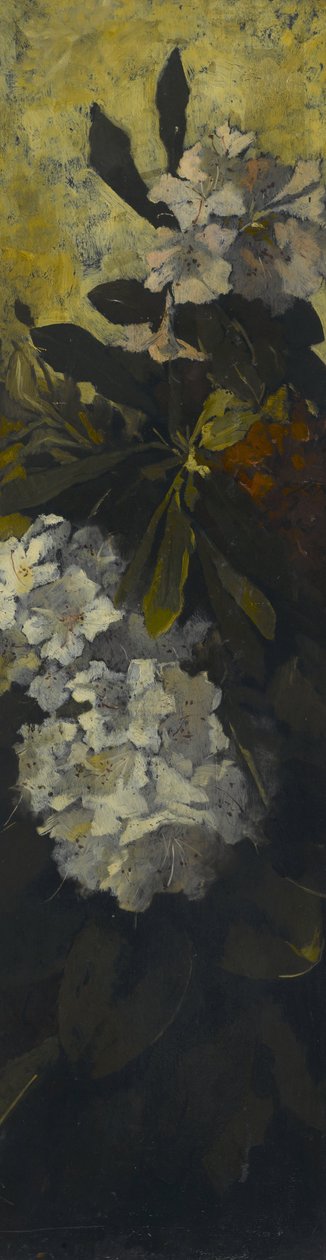 Rhododendrons - Elizabeth Boott Duveneck