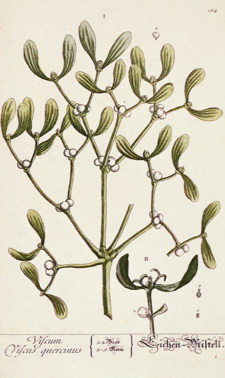 Gui de 