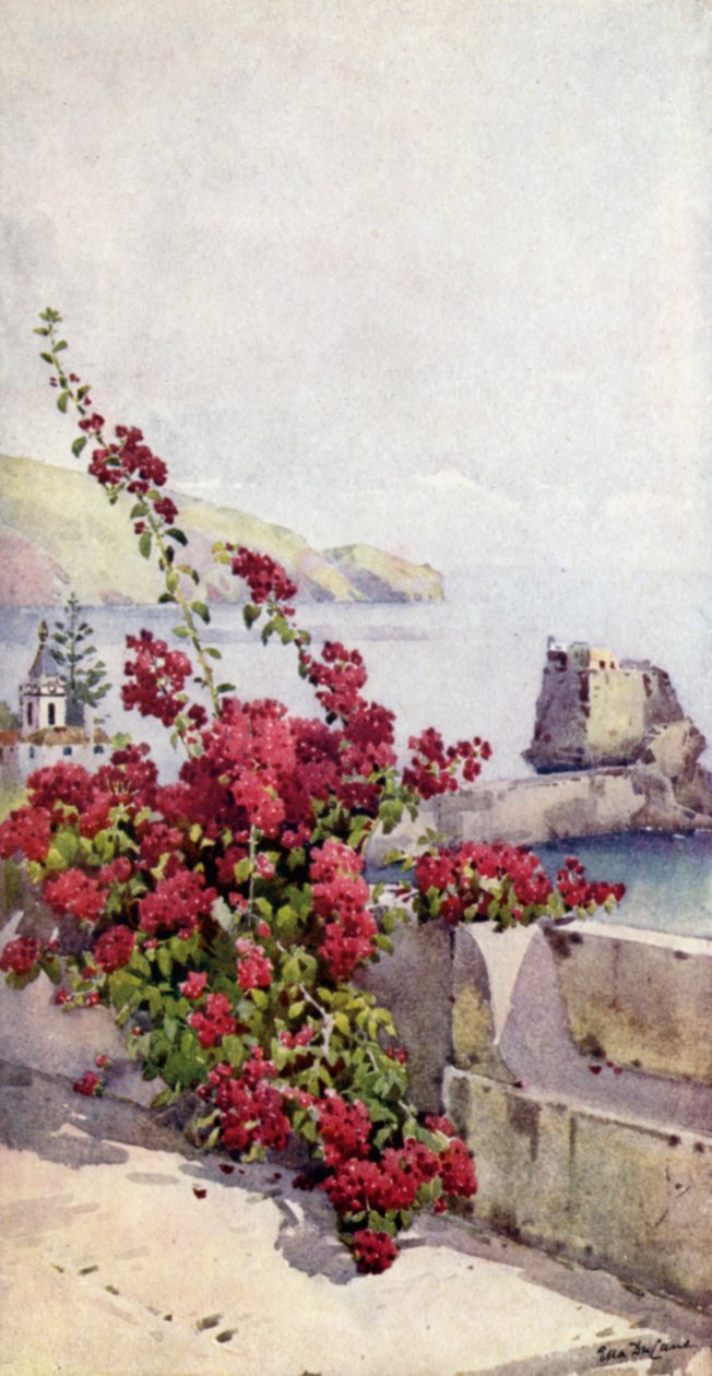 Rocher de Loo, Funchal (lithographie en couleur) - Ella Du Cane