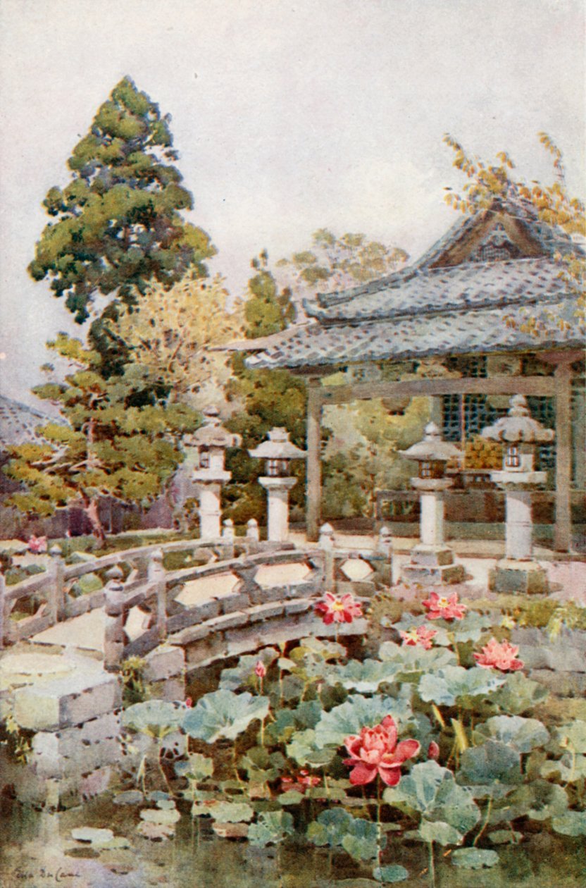 Lotus à Kyomidzu (lithographie couleur) - Ella Du Cane