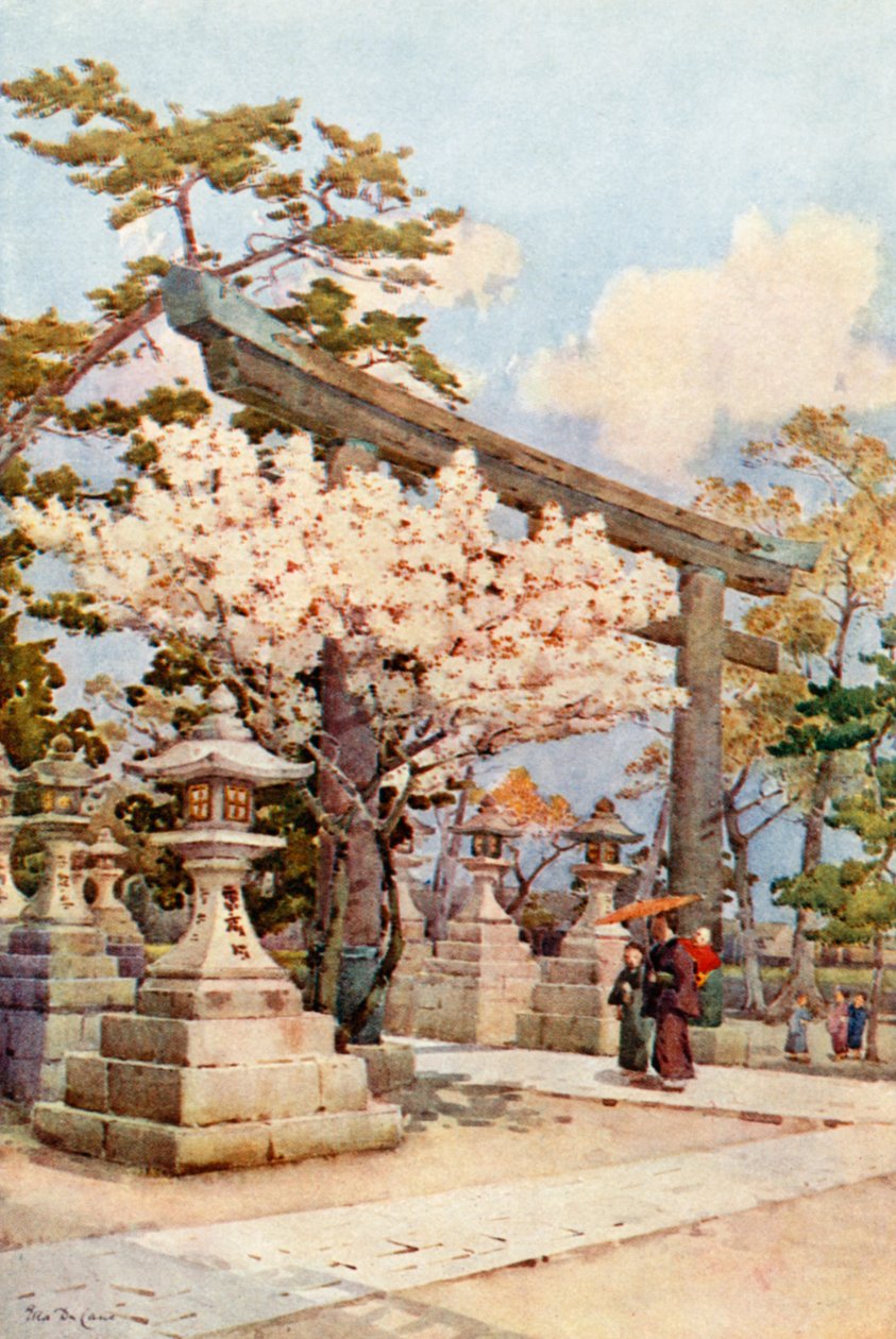 Cerise blanche chez Kitano (lithographie couleur) - Ella Du Cane