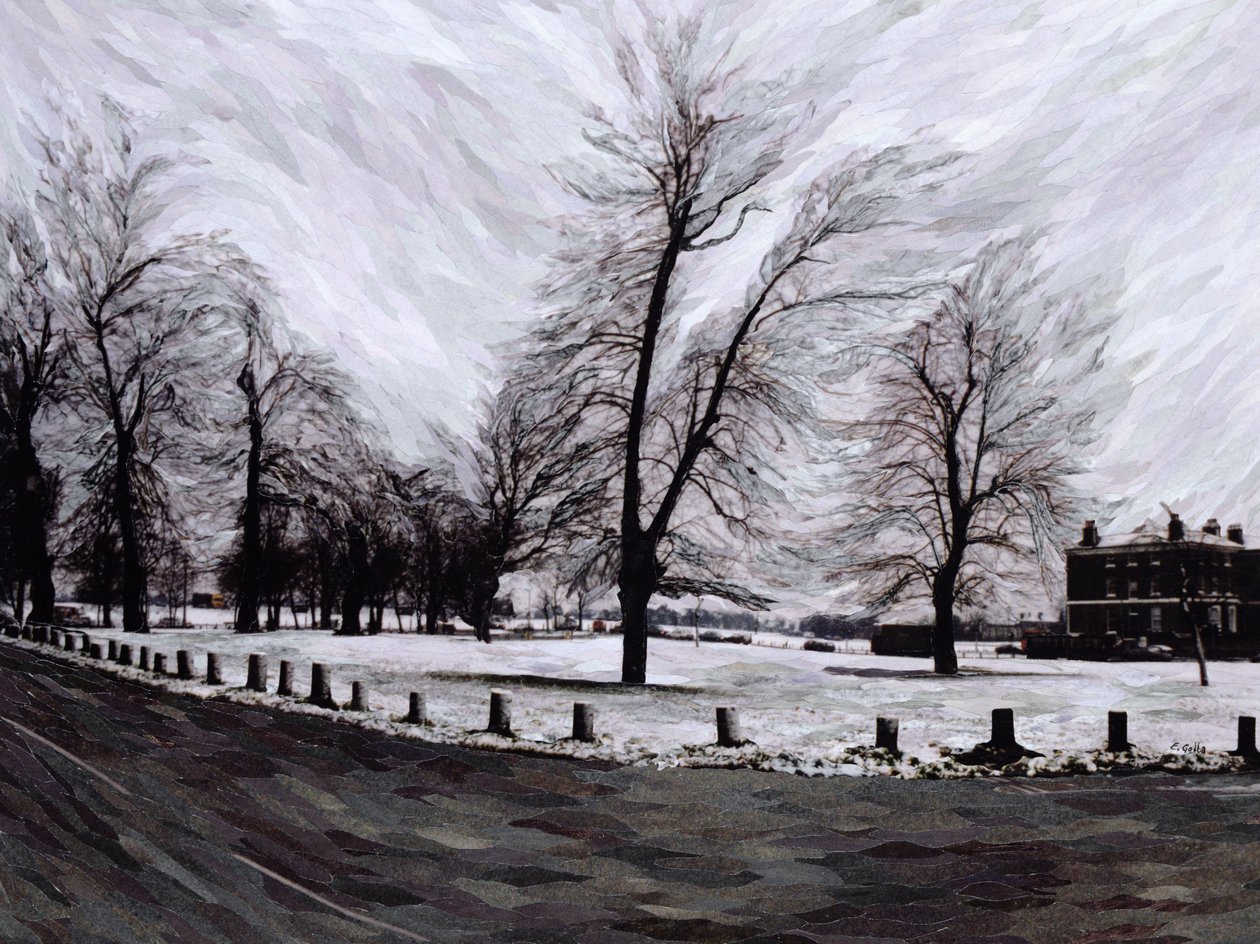 Westgrove, en direction de Blackheath, 1999 - Ellen Golla