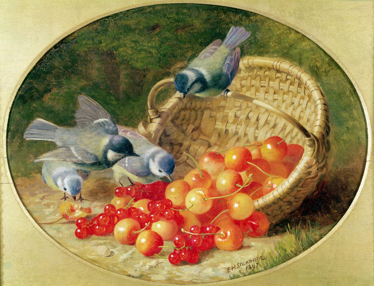 Mésanges picorant des cerises, 1897 - Eloise Harriet Stannard