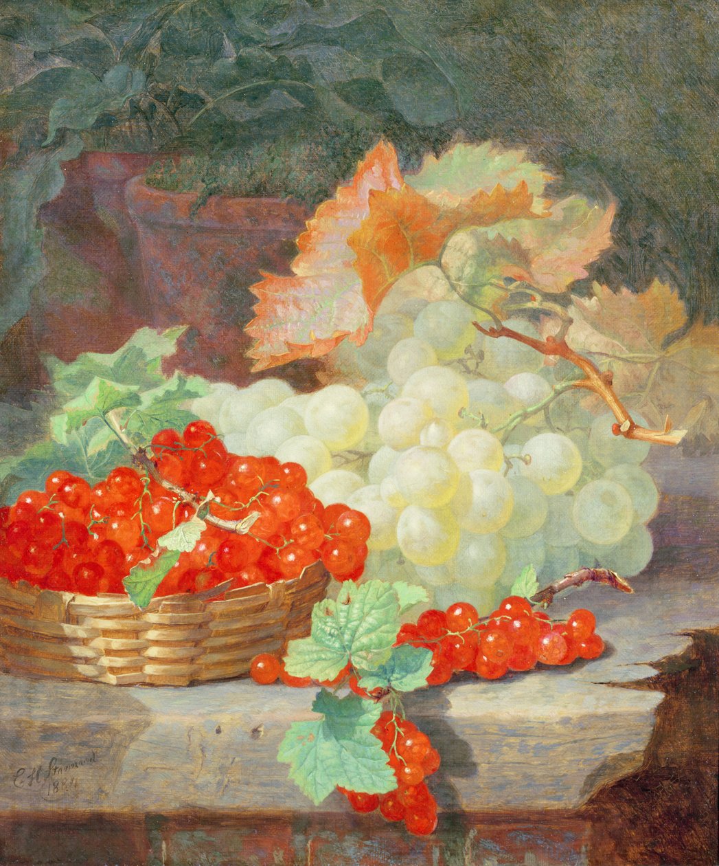Groseilles et raisins, 1864 - Eloise Harriet Stannard