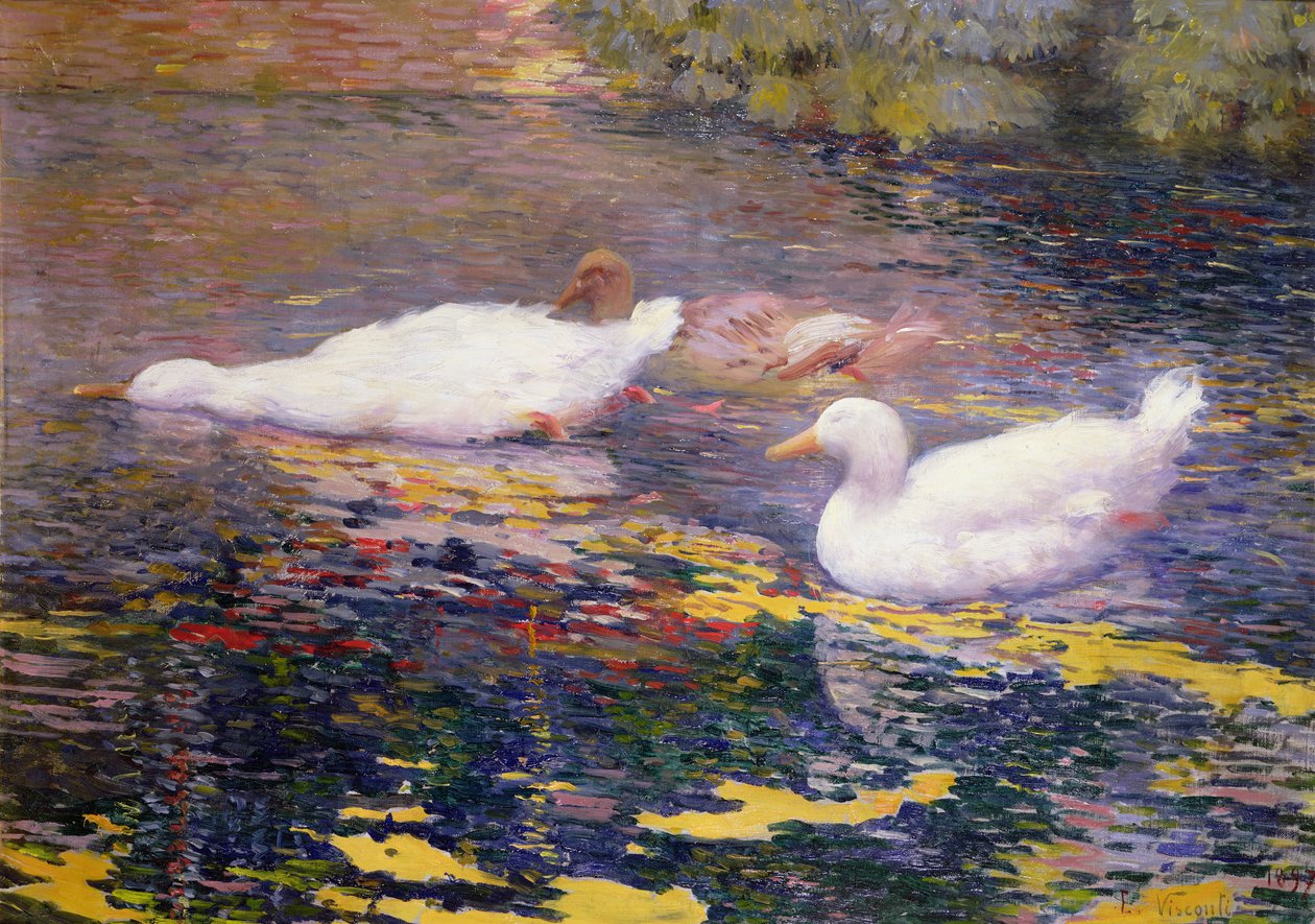 Canards sur une rivière - Elysee Visconti