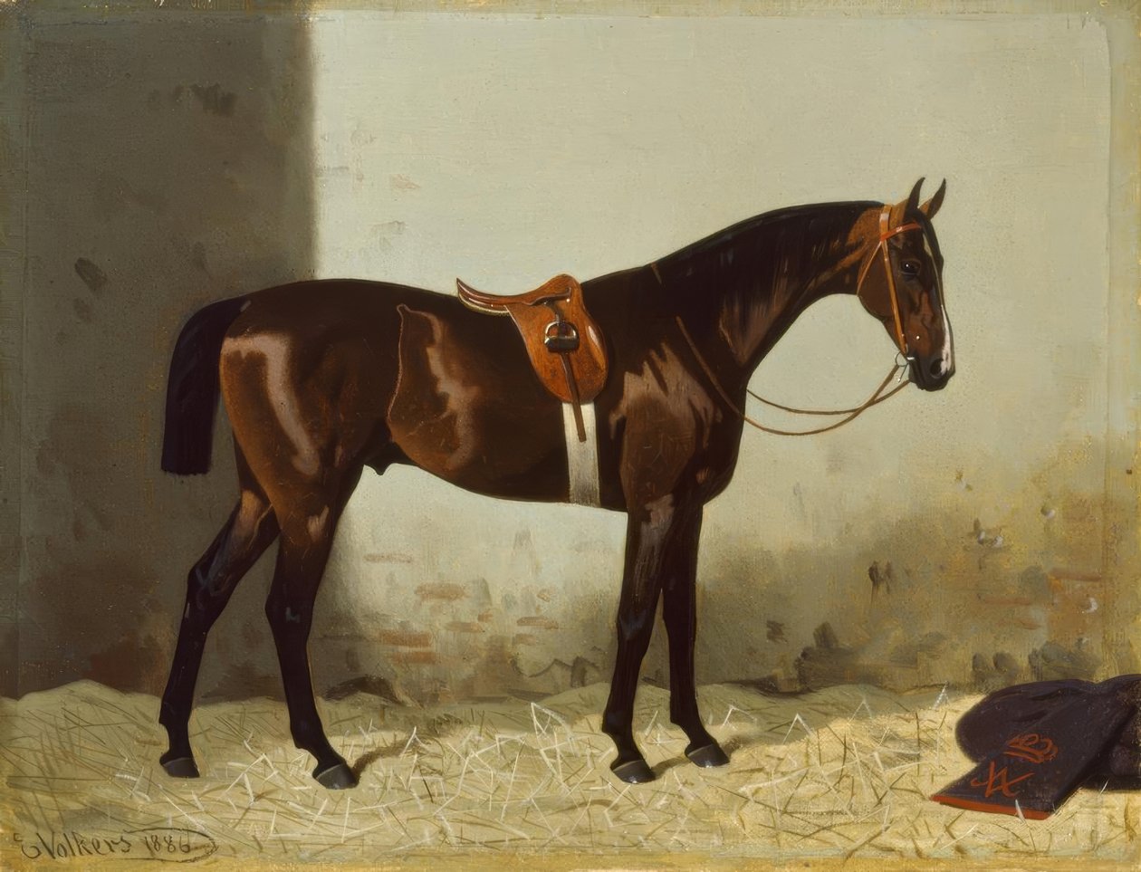 Cheval brun dans l