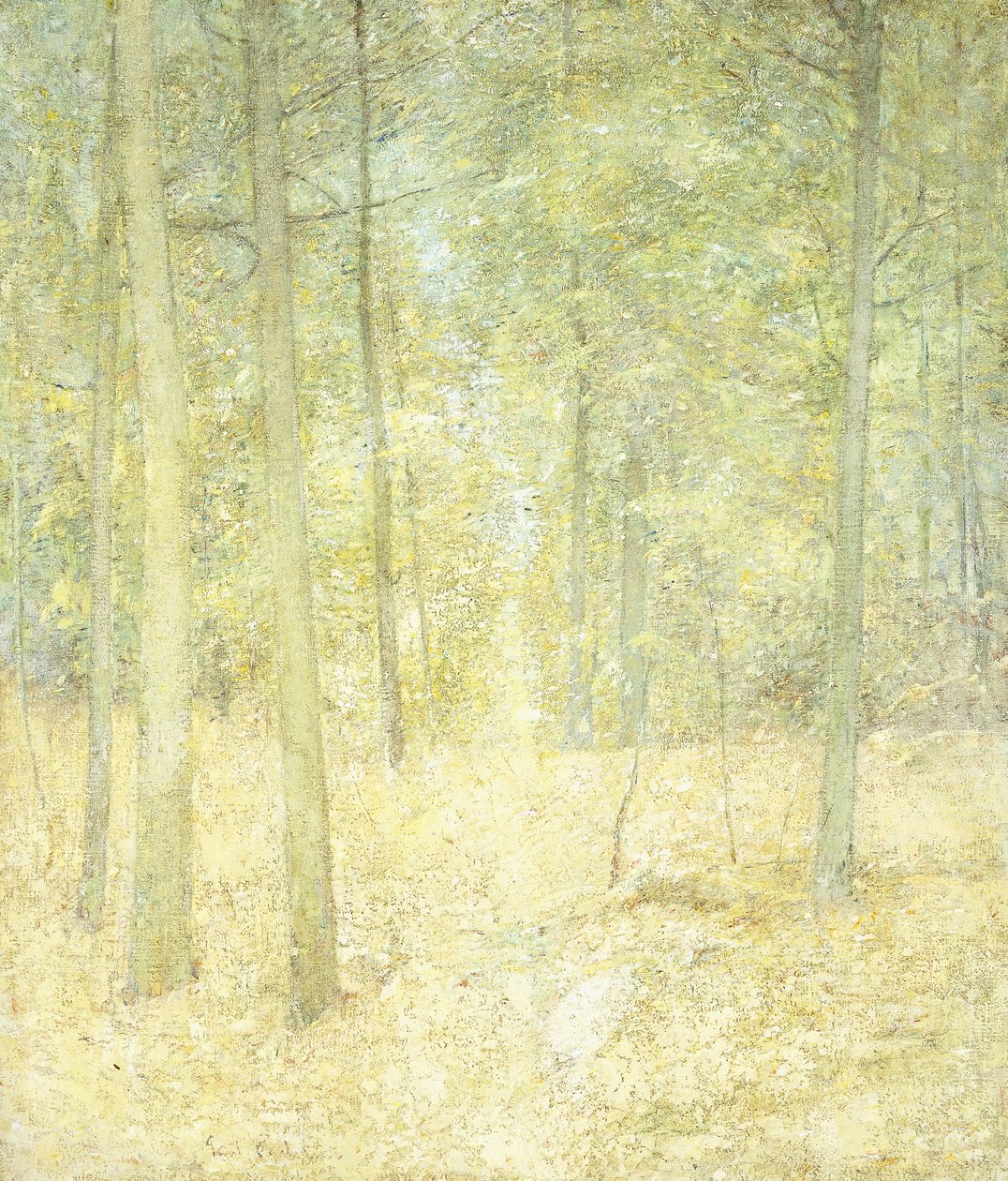 Une scène boisée - Emil Carlsen