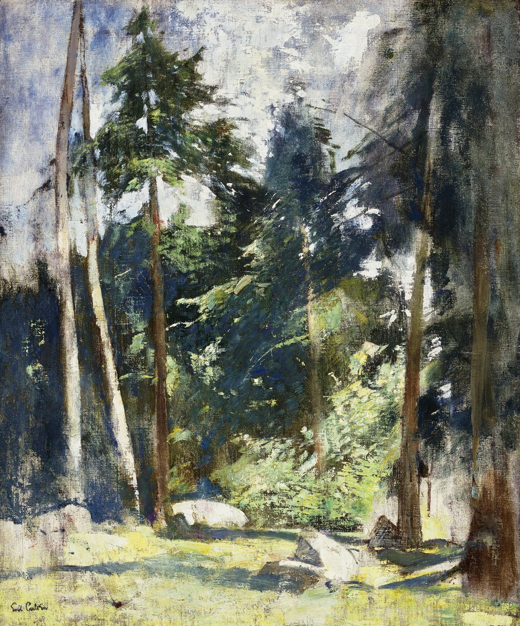 Pins hauts - Emil Carlsen