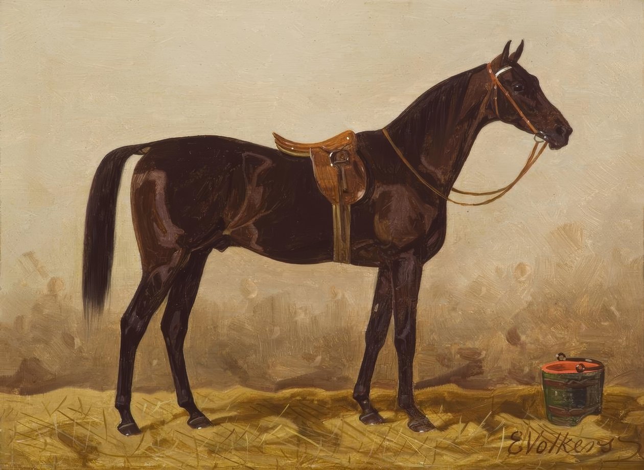 Cheval noir sellé - Emil Volkers