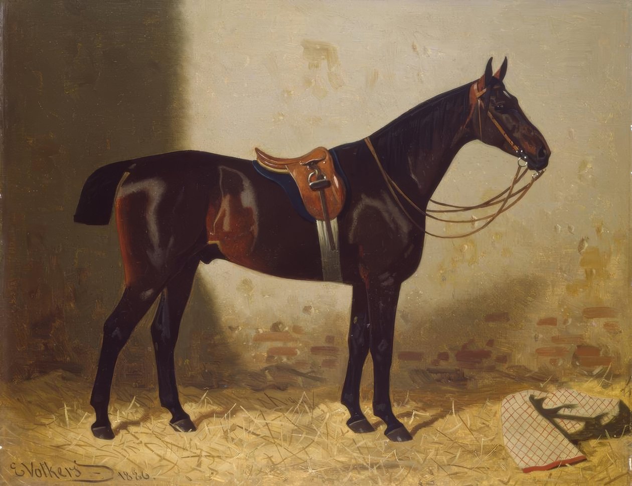 Portrait de cheval - Emil Volkers