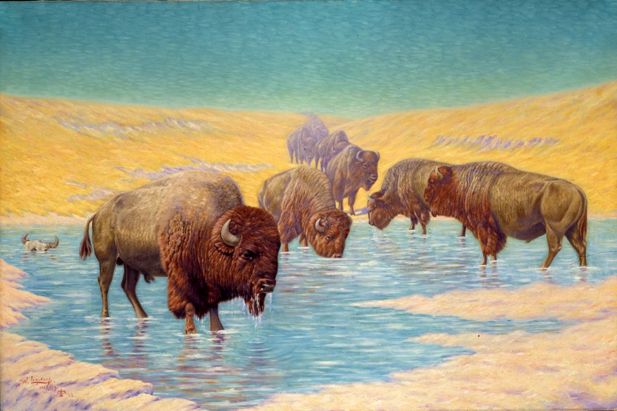 Scène Buffalo - Emil W. Lenders