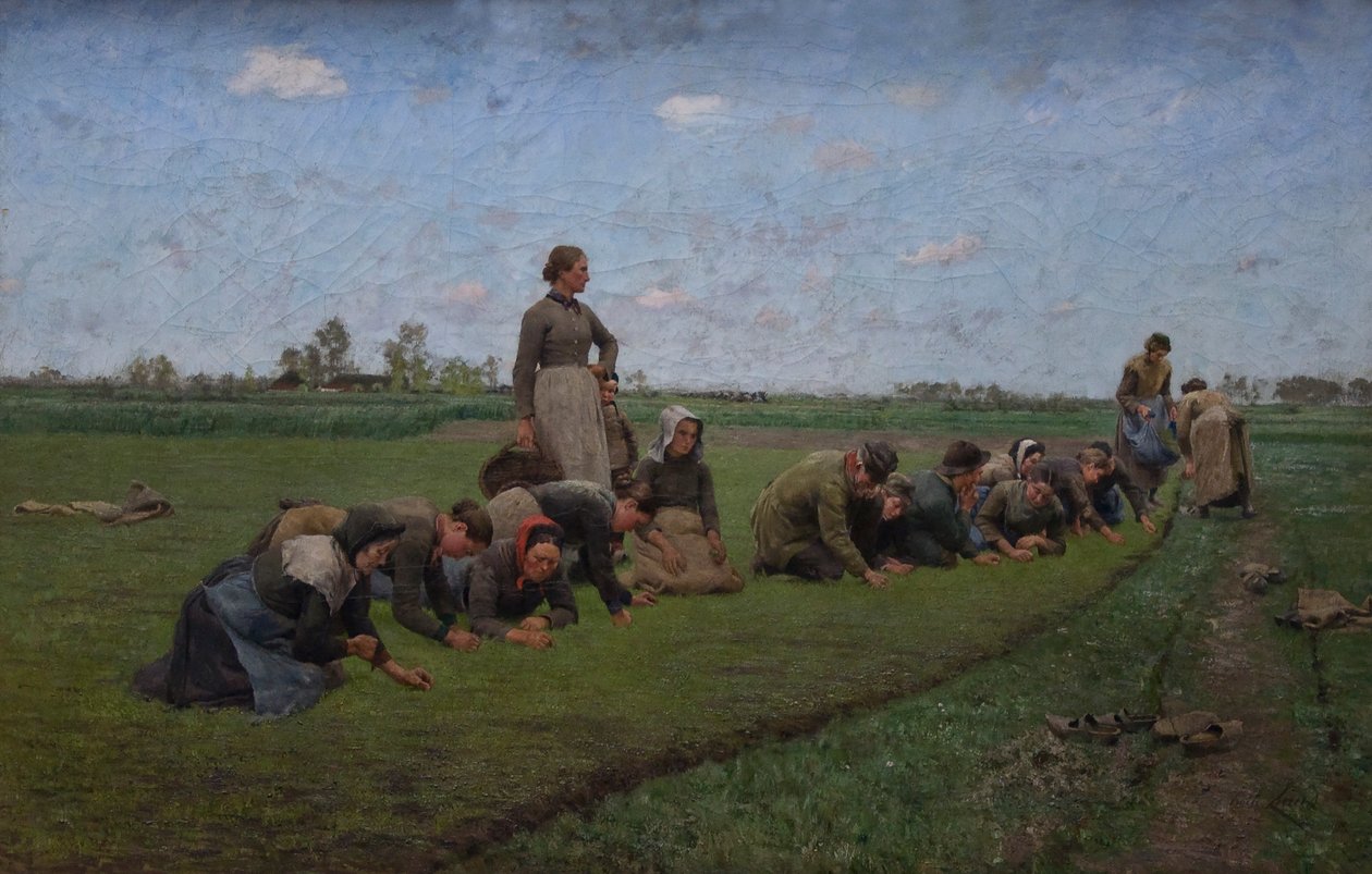 Vlaswieden en Vlaanderen - Emile Claus
