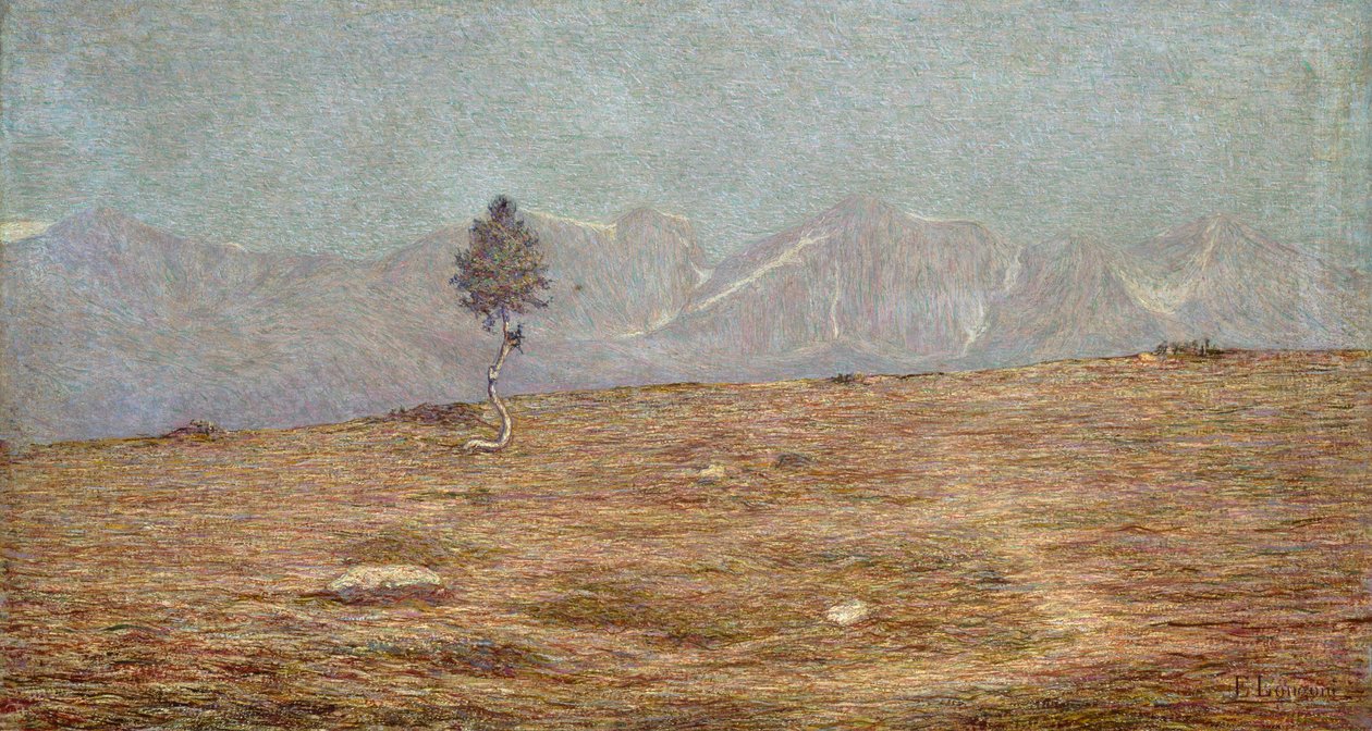 La plante - Emilio Longoni