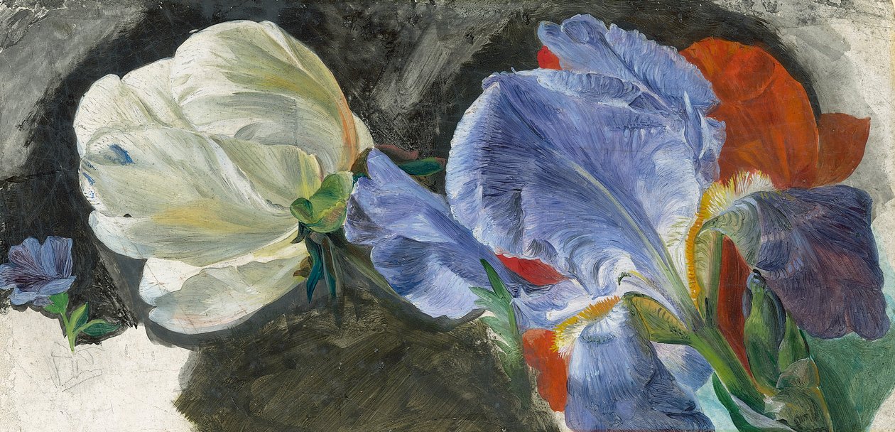 Étude de fleurs - Emily Stannard