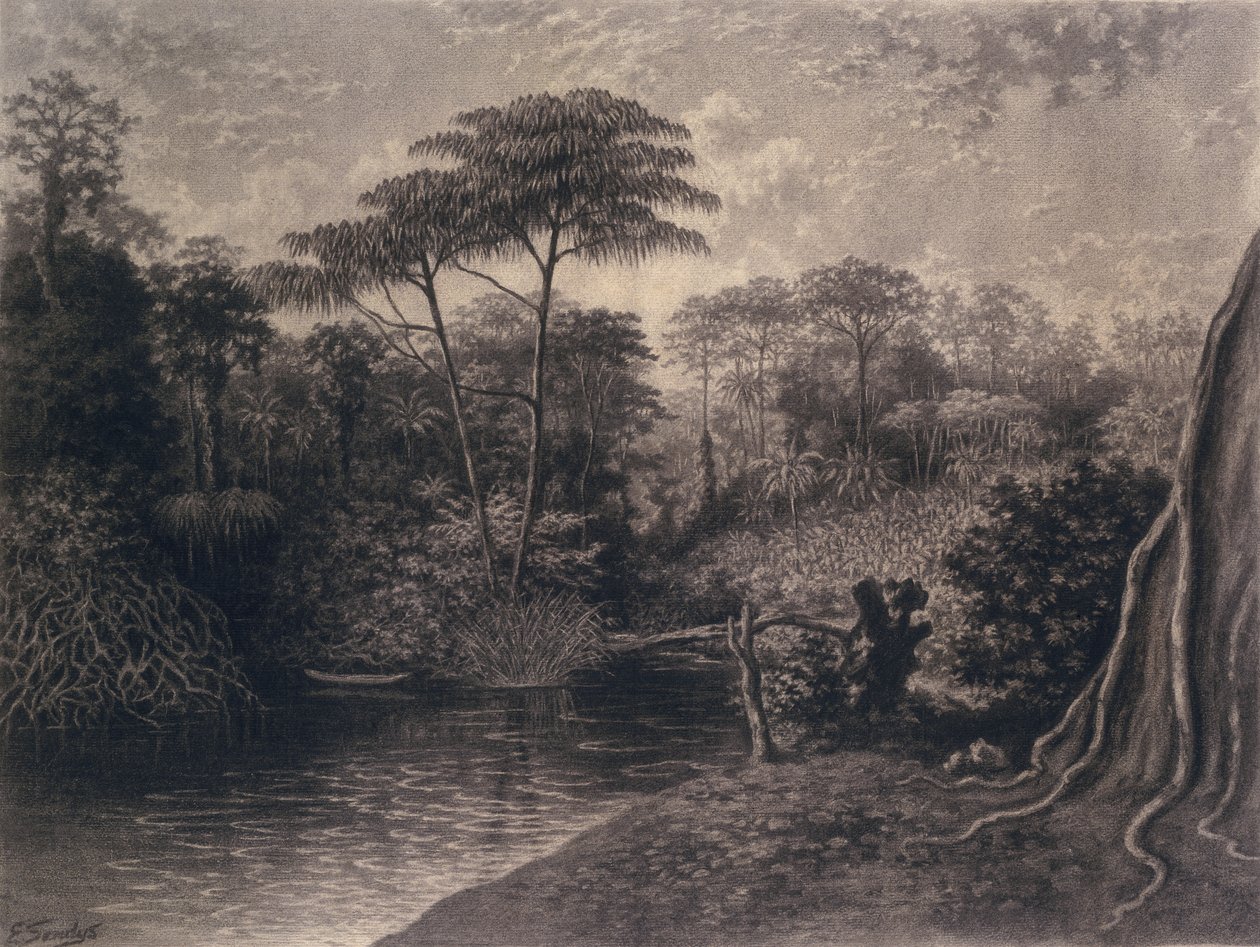 Vue de la rivière Cameroun, baie d