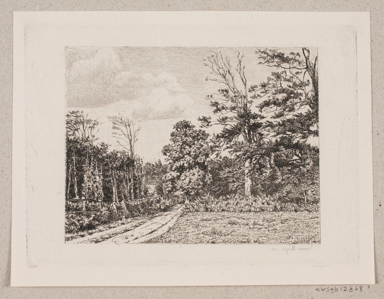 Paysage forestier - Emma Meyer