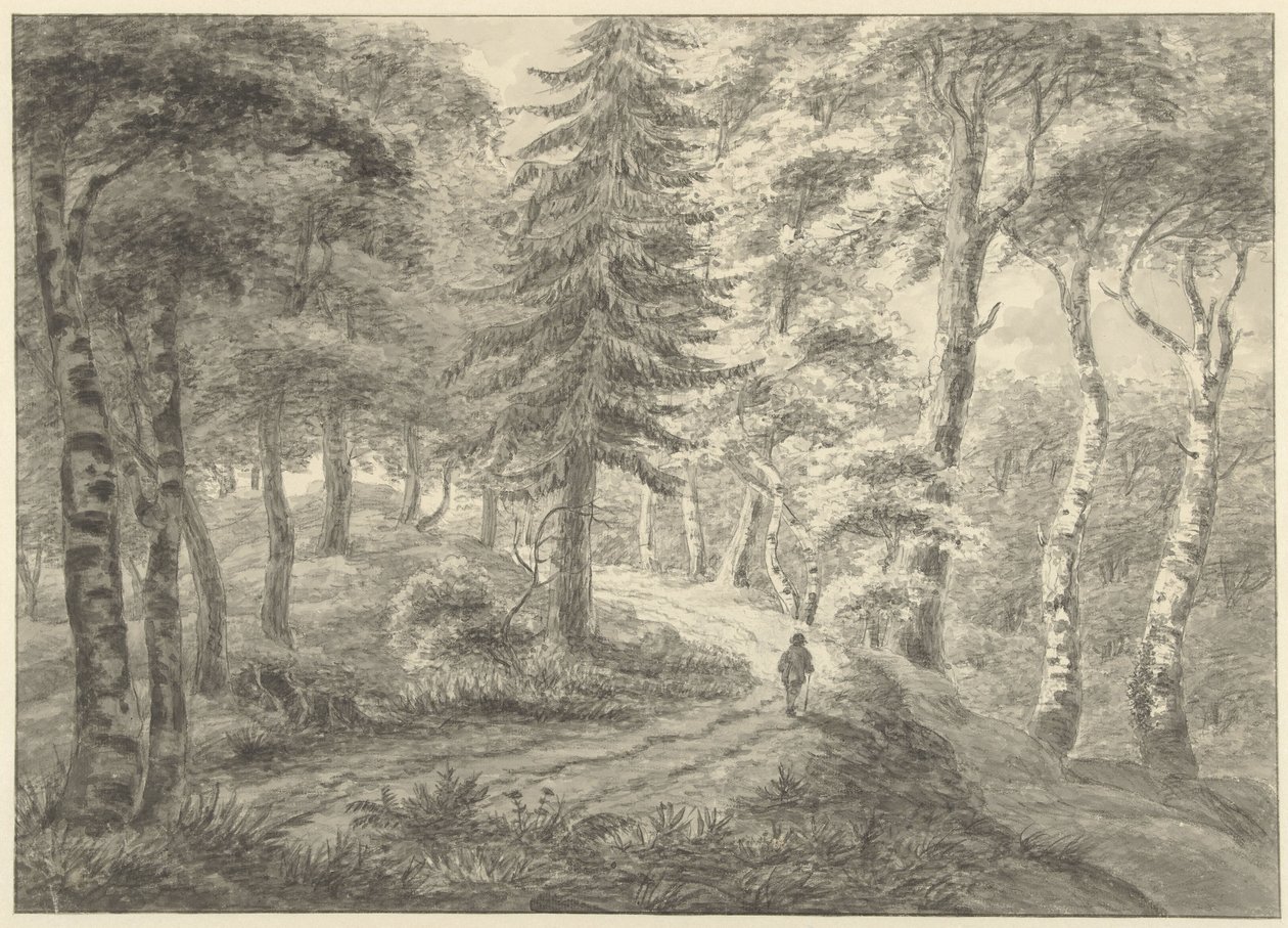 Vue de forêt - Engelbert Michaël Engelberts
