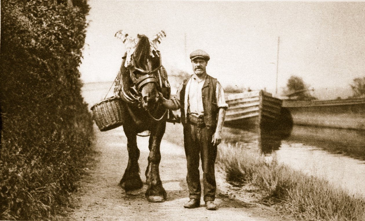 Un cheval prêt à tirer une péniche, Londres - English Photographer