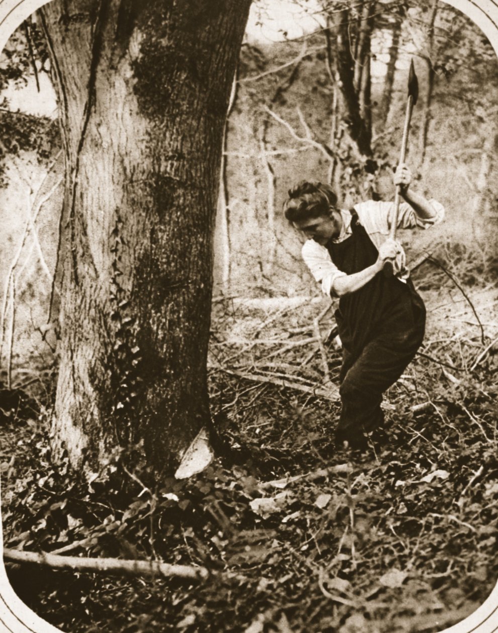 Une femme travailleuse acharnée à Weston-Super-Mare ; abattant des arbres dans un bois du Somerset, illustration de The Illustrated War News, septembre 1916 - English Photographer